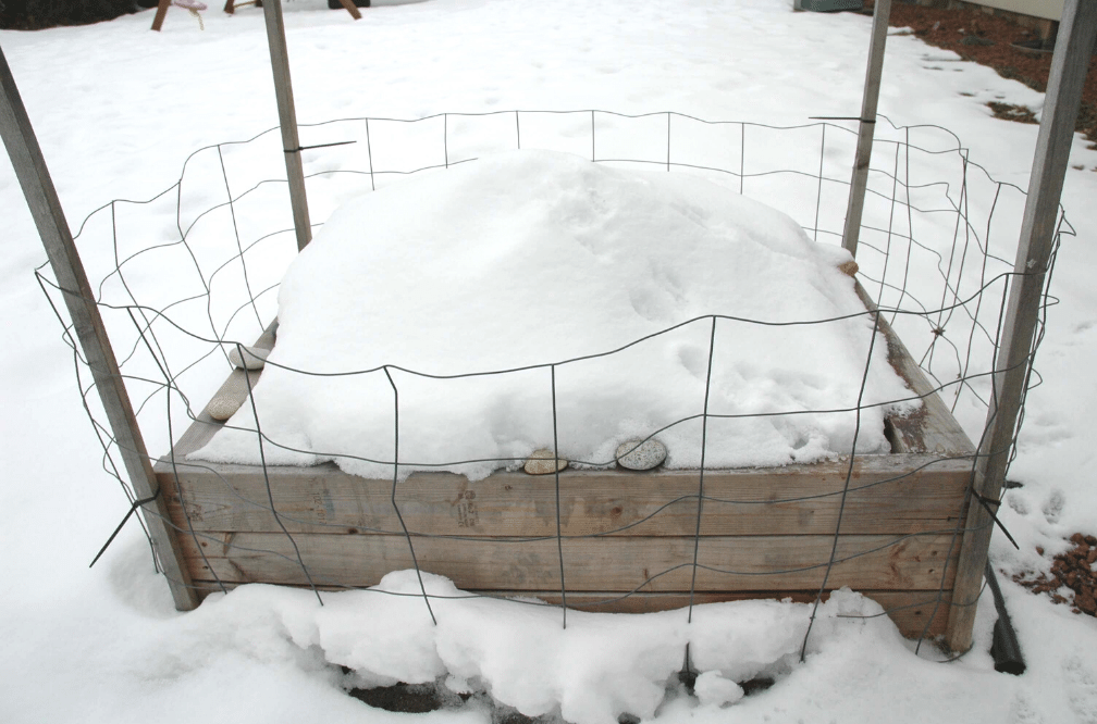 Small raised-bed garden