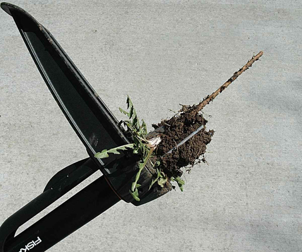 Fiskars Stand-up Weeder