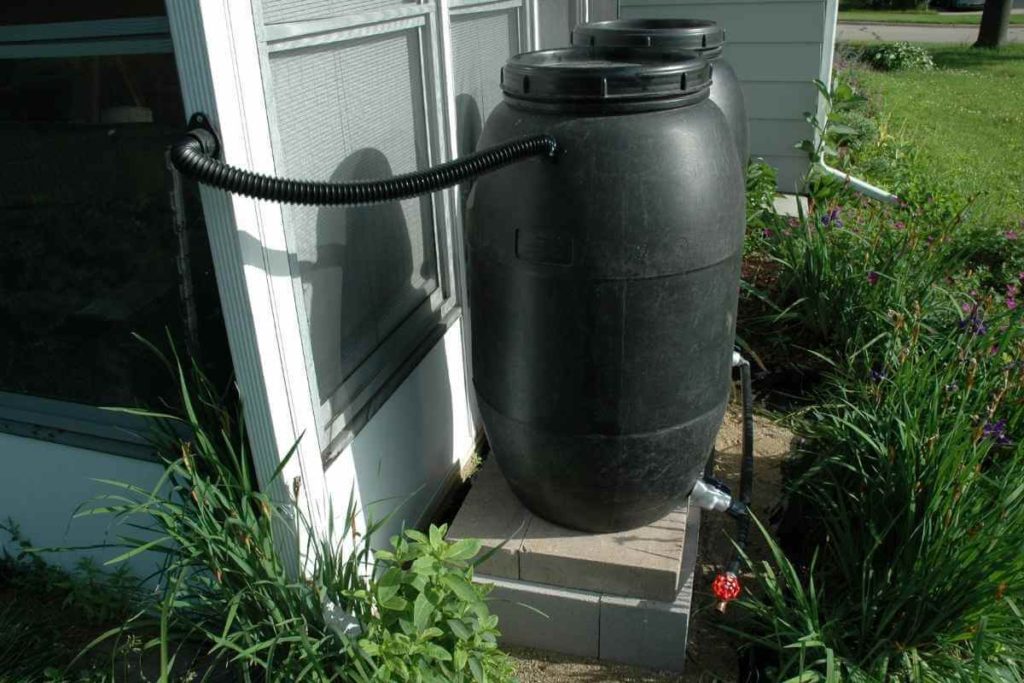 Rain barrels