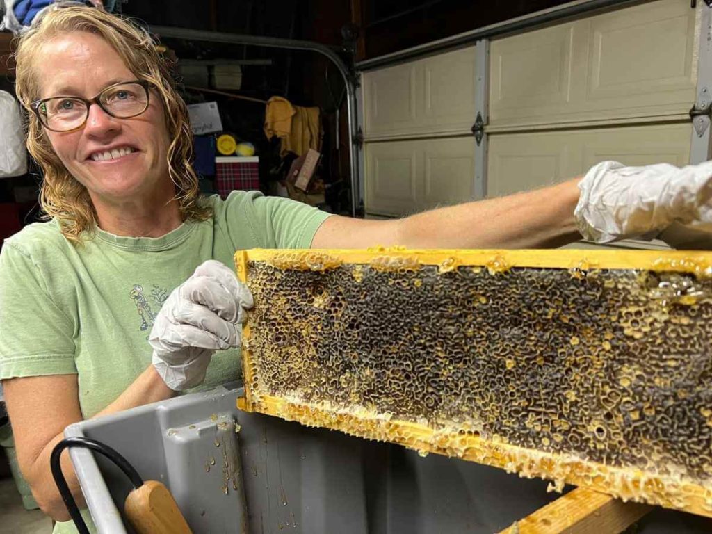 Honeycomb harvest