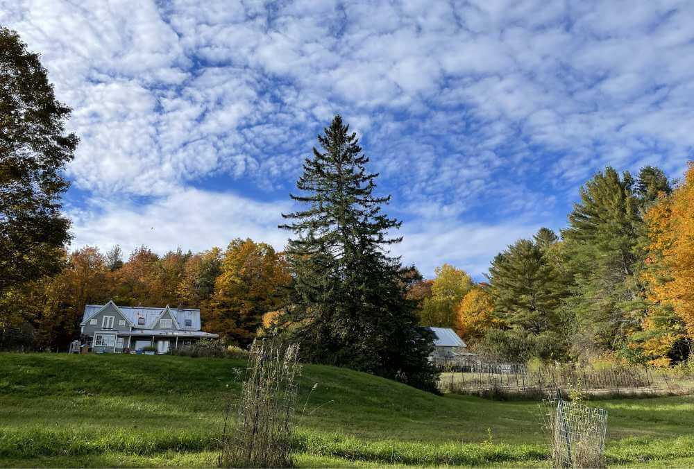 66-acre Frugalwoods homestead in Vermont